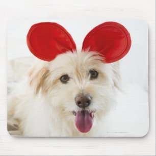 Hunde tragen Spielzeugohren auf dem Bett Mousepad