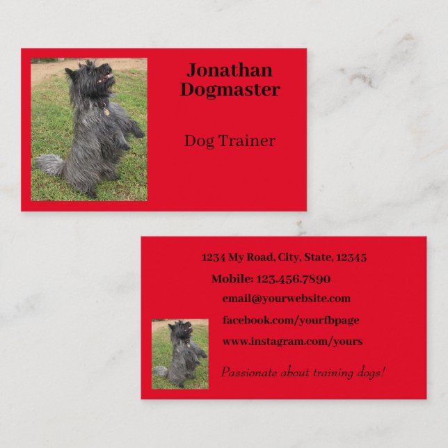 Hunde Trainer Helle Red Minimal Foto Visitenkarte (Vorne/Hinten)