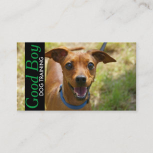 Hunde-Trainings-Tiersitting-Walker Visitenkarte