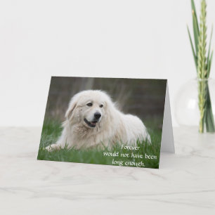 Hunde-Trauerkarte zum Gedenken mit Foto Karte