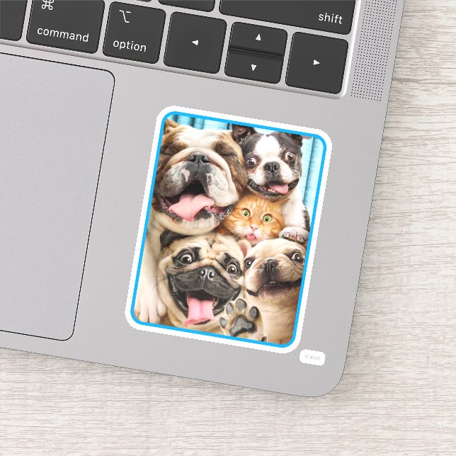 Hunde und ein Cat Group-Foto Aufkleber (Detail)