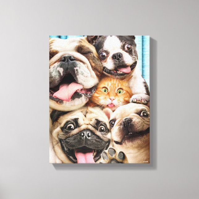 Hunde und ein Cat Group-Foto Leinwanddruck (Vorderseite)