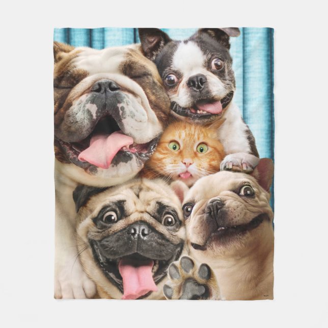 Hunde und ein Foto der Katzengruppe Fleecedecke (Vorderseite)