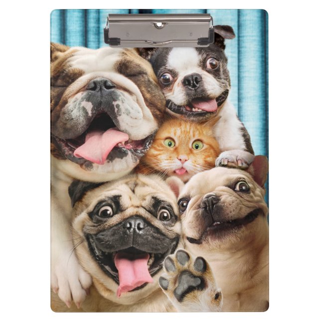 Hunde und ein Foto der Katzengruppe Klemmbrett (Vorderseite)