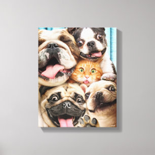 Hunde und ein Foto der Katzengruppe Leinwanddruck