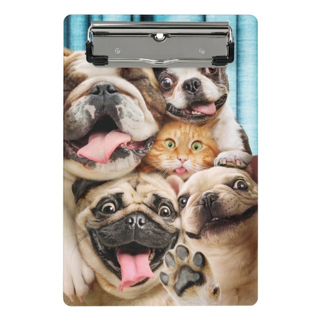 Hunde und ein Foto der Katzengruppe Mini Klemmbrett (Vorderseite)