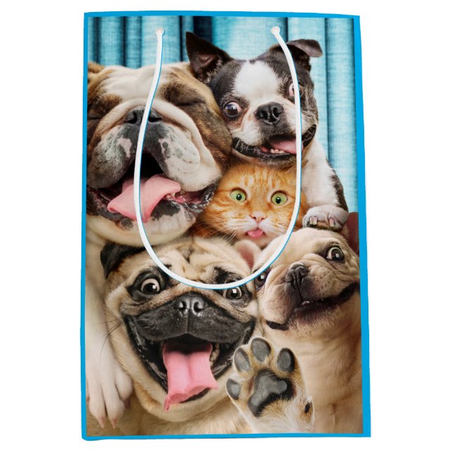 Hunde und ein Foto der Katzengruppe Mittlere Geschenktüte (Vorderseite)