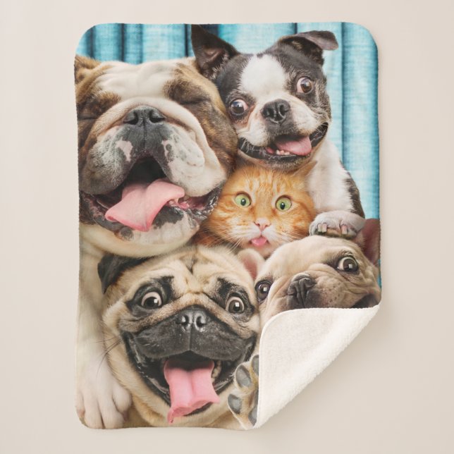 Hunde und ein Foto der Katzengruppe Sherpadecke (Vorderseite)