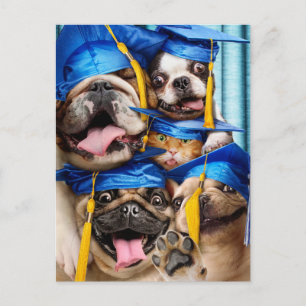 Hunde- und Katzen-Absolventen im Fotobooth Einladungspostkarte