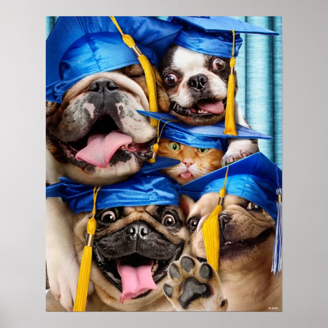 Hunde- und Katzen-Absolventen im Fotobooth Poster (Vorne)