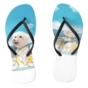 Hunde und Katzen Fahrradfahren am Meer Flip Flops