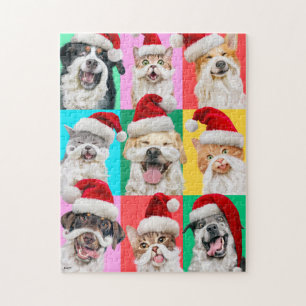 Hunde und Katzen mit Santa Bart