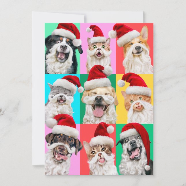Hunde und Katzen mit Santa-Bart Einladung (Vorderseite)