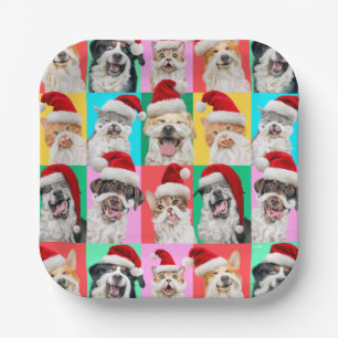 Hunde und Katzen mit Santa Bart Pappteller