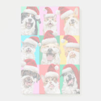 Hunde und Katzen mit Santa Bart