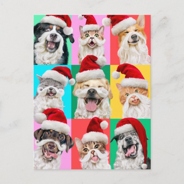 Hunde und Katzen mit Santa Bart Postkarte (Vorderseite)