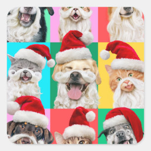Hunde und Katzen mit Santa Bart Quadratischer Aufkleber