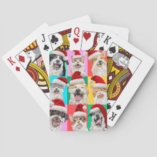 Hunde und Katzen mit Santa Bart Spielkarten