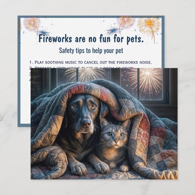 Hunde und Katzen schauen Feuerwerke Postkarte (Vorne/Hinten)