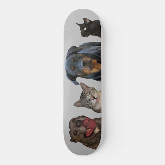 Hunde und Katzen Skateboard Holz (Vorderseite)