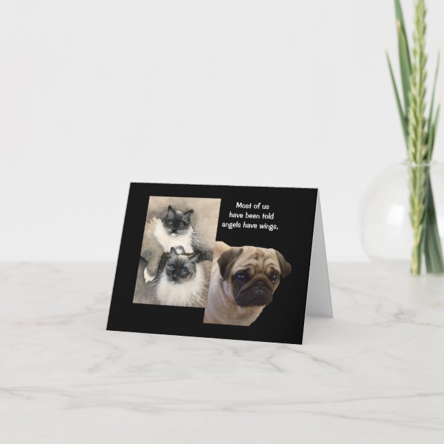 Hunde und Katzen Tierengel Faltkarte Karte (Vorderseite)