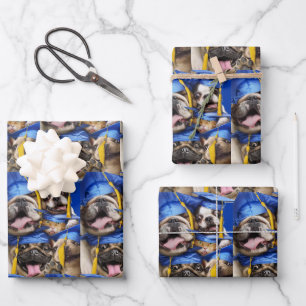 Hunde- und Katzenabsolventen im Fotobooth Geschenkpapier Set
