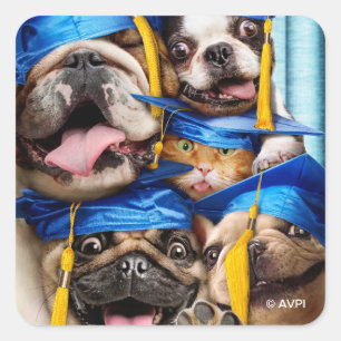 Hunde- und Katzenabsolventen im Fotobooth Quadratischer Aufkleber