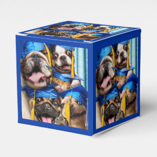 Hunde- und Katzenabsolventen im Fotostudio Geschenkschachtel