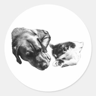 Hunde- und Katzenruhen mit einfarbigem Aufkleber