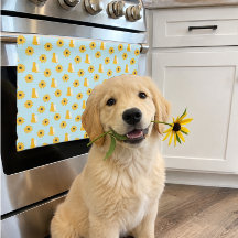 Hunde und Mit Augen schwarze Susans Geschirr Handt