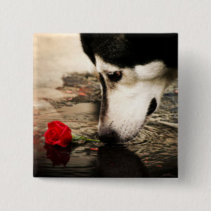 Hunde-und Rosen-Knopf Button