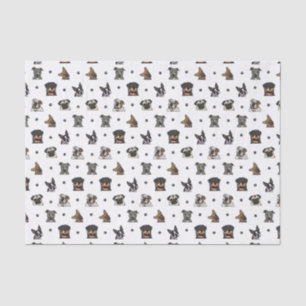 Hunde und Tatzen Seidenpapier