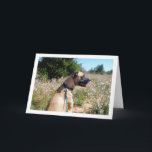 Hunde und Wildblumen Portrait Karte<br><div class="desc">Hund und Wildblumen Portrait Grußkarte. Sie können dieses Produkt ganz einfach kostenlos anpassen, wenn Sie Text hinzufügen oder die Farbe des Hintergrunds ändern möchten.</div>