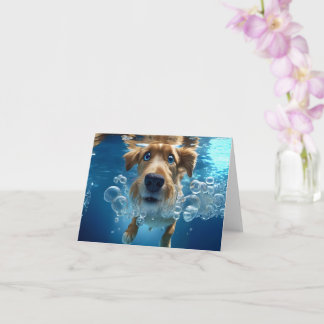 Hunde unter Wasser Bläschen Blauer Augen Leere Karte
