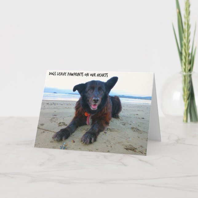 Hunde verlassen PawPrints - Hundegruß-Karte Karte (Vorderseite)