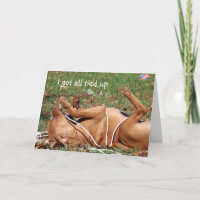 Hunde verspäteten Geburtstag