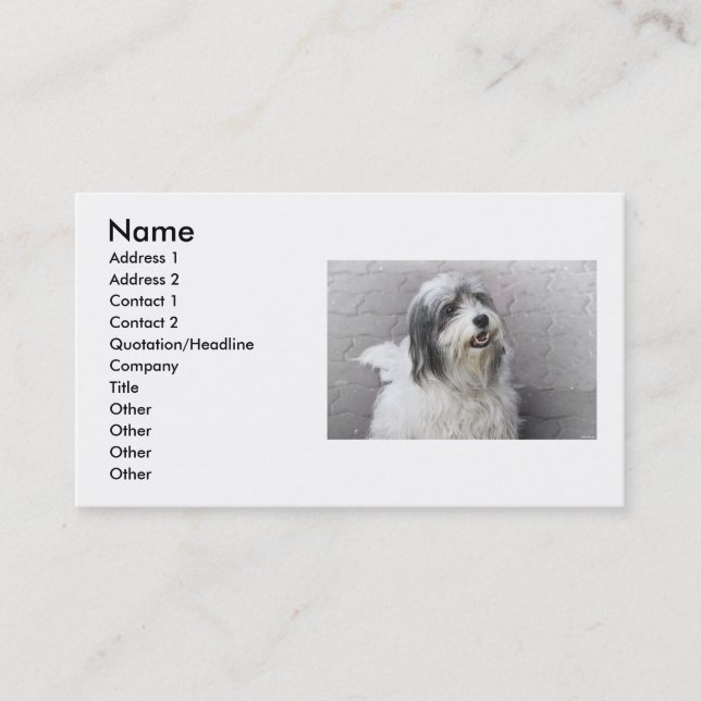 Hunde Visitenkarte (Vorderseite)