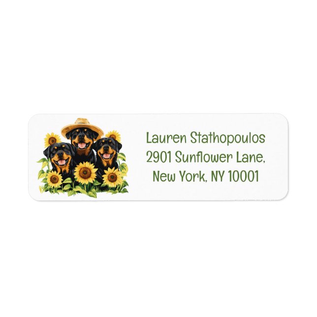 Hunde von Rottweiler, umgeben von Sonnenblumen (Vorne)