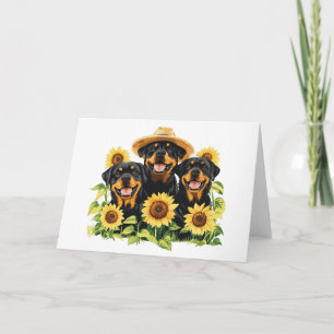 Hunde von Rottweiler, umgeben von Sonnenblumen Karte