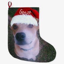 Hunde Weihnachts-Foto Personalisierter Name