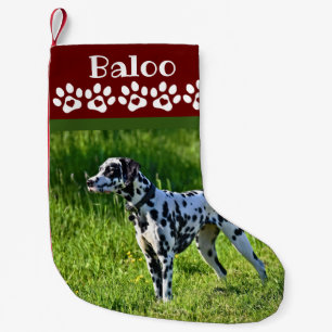 Hunde Weihnachts-Strumpf Foto Kleiner Weihnachtsstrumpf