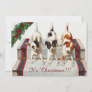 Hunde-Weihnachtsfeier Einladung