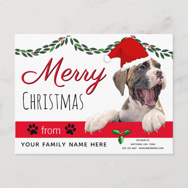 Hunde-Weihnachtskarten - Von den Hundeflignen Weih Postkarte (Vorderseite)