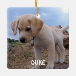 Hunde Weihnachtsschmuck Foto Square