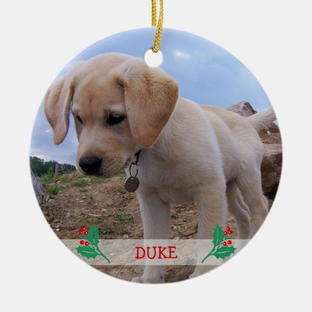 Hunde Weihnachtsschmuck Personalisiertes Foto (Vorne)