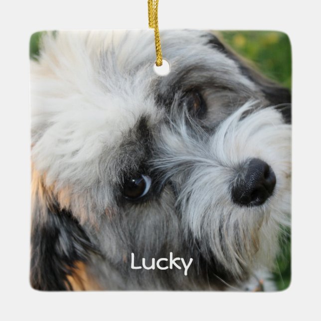 Hunde Weihnachtsschmuck Square Keramik Foto (Vorderseite)