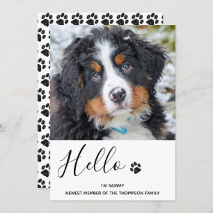 Hunde Welpe - Ankündigung