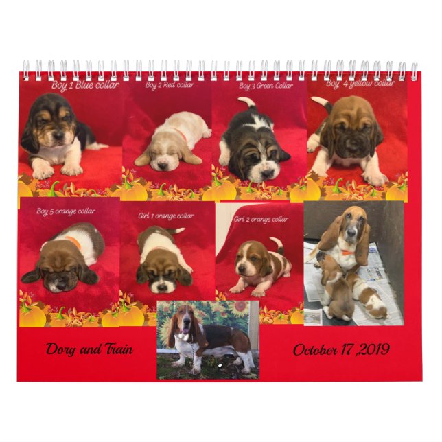 Hunde-Welpen Kalender (Titelbild)