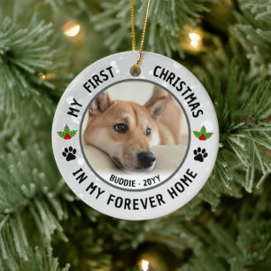 Hunde Welpen Katze Haustier Foto Erstes Weihnachte Keramik Ornament