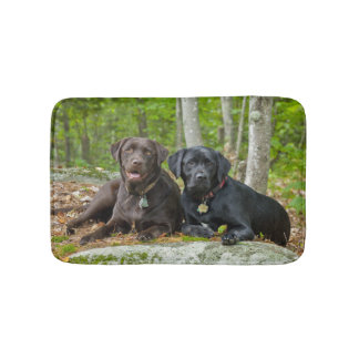 Hunde Welpen Schwarzes Labor Schokolade Labrador R Badematte